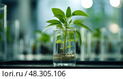 growth laboratory green. Стоковое AI-изображение, AI-художник Vectorwin / Фотобанк Лори