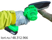 Ручная портативная электрическая пила на аккумуляторе для распиловки дров и древесины. Hand-held portable  electric saw on a battery for cutting firewood and wood. Close-up, a hand sawing a log. Стоковое фото, фотограф Татьяна Д / Фотобанк Лори