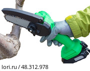 Ручная портативная электрическая пила на аккумуляторе для распиловки дров и древесины. Hand-held portable  electric saw on a battery for cutting firewood and wood. Close-up, a hand sawing a log. Стоковое фото, фотограф Татьяна Д / Фотобанк Лори
