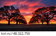 suncontrast silhouette oak trees ai generated. Стоковое AI-изображение, AI-художник Vectorwin / Фотобанк Лори