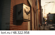 roosting bat box ai generated. Стоковое AI-изображение, AI-художник Vectorwin / Фотобанк Лори