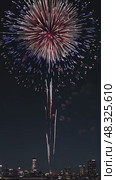 Fireworks Light up the Night Sky Over a City Skyline During a Summer Celebration. Стоковое AI-видео, аниматор Юлия Гапеенко / Фотобанк Лори