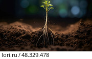 absorption plant root nutrients ai generated. Стоковое AI-изображение, AI-художник Vectorwin / Фотобанк Лори