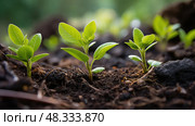 bloom budding plant ai generated. Стоковое AI-изображение, AI-художник Vectorwin / Фотобанк Лори