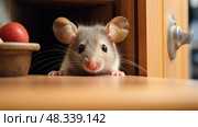festation mice in house ai generated. Стоковое AI-изображение, AI-художник Vectorwin / Фотобанк Лори