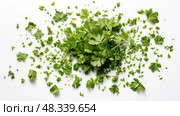 herb cilantro on white ai generated. Стоковое AI-изображение, AI-художник Vectorwin / Фотобанк Лори