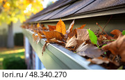 brown leaves on gutter ai generated. Стоковое AI-изображение, AI-художник Vectorwin / Фотобанк Лори