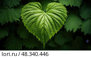 elliptical leaf shapes ai generated. Стоковое AI-изображение, AI-художник Vectorwin / Фотобанк Лори