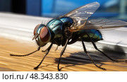 eyes house fly ai generated. Стоковое AI-изображение, AI-художник Vectorwin / Фотобанк Лори