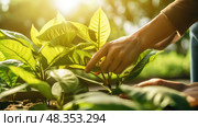 leaves plant health care ai generated. Стоковое AI-изображение, AI-художник Vectorwin / Фотобанк Лори