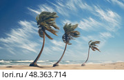 gusts wind palm trees ai generated. Стоковое AI-изображение, AI-художник Vectorwin / Фотобанк Лори