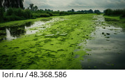 pond stagnant water ai generated. Стоковое AI-изображение, AI-художник Vectorwin / Фотобанк Лори
