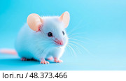 Adorable Albino: Delicate Portrait of a White Mouse on Light Blue, A Study of Miniature Elegance and Pet Charm. Стоковое AI-изображение, AI-художник Данила Большаков / Фотобанк Лори