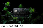 payment credit card on black background ai generated. Стоковое AI-изображение, AI-художник Vectorwin / Фотобанк Лори