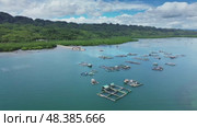 Mangrove sea landscape in tropical coastal region. Стоковое видео, видеограф Михаил Коханчиков / Фотобанк Лори