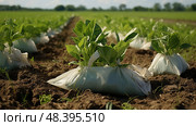 crops fertilizer bag ai generated. Стоковое AI-изображение, AI-художник Vectorwin / Фотобанк Лори