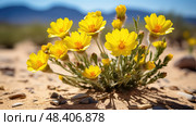 succulent desert plants ai generated. Стоковое AI-изображение, AI-художник Vectorwin / Фотобанк Лори