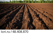 field dirt textures ai generated. Стоковое AI-изображение, AI-художник Vectorwin / Фотобанк Лори