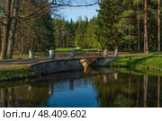 View of the bridge on the Swan Ponds in the Catherine Park of Tsarskoye Selo on a sunny spring day, Pushkin, St. Petersburg, Russia. Стоковое фото, фотограф Ula Ulachka / Фотобанк Лори