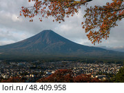 View of Mount Fuji from the observation deck in the Arakura yama Sengen Park from the Chureito Pagoda on a sunny autumn day, Fujiyoshida, Yamanashi Prefecture, Japan. Стоковое фото, фотограф Ula Ulachka / Фотобанк Лори