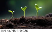 emergence stages of plant growth ai generated. Стоковое AI-изображение, AI-художник Vectorwin / Фотобанк Лори