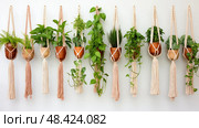 boho macrame plant hanger ai generated. Стоковое AI-изображение, AI-художник Vectorwin / Фотобанк Лори