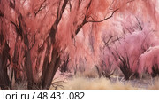 branches tamarisk tree ai generated. Стоковое AI-изображение, AI-художник Vectorwin / Фотобанк Лори