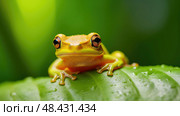 leaf spring peepers ai generated. Стоковое AI-изображение, AI-художник Vectorwin / Фотобанк Лори