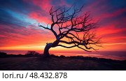 sunsilhouette limb tree ai generated. Стоковое AI-изображение, AI-художник Vectorwin / Фотобанк Лори