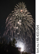 Праздничный салют. Салют в небе. Festive fireworks. Fireworks in the sky. Стоковое фото, фотограф Ольга Митряева / Фотобанк Лори