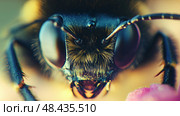 Detailed close-up of a fly showcasing intricate eye. Стоковое AI-изображение, AI-художник Михаил Коханчиков / Фотобанк Лори