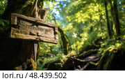 hiking hanging wooden sign ai generated. Стоковое AI-изображение, AI-художник Vectorwin / Фотобанк Лори