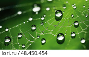 adhesion water cohesion ai generated. Стоковое AI-изображение, AI-художник Vectorwin / Фотобанк Лори