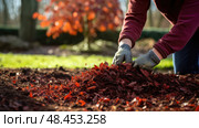 soil red mulch ai generated. Стоковое AI-изображение, AI-художник Vectorwin / Фотобанк Лори