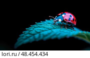 Macro close-up of a Ladybug on a Vibrant Leaf, Emphasizing the Beauty of Nature. Стоковое AI-изображение, AI-художник Данила Большаков / Фотобанк Лори
