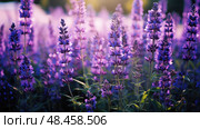 iris purple and blue flowers ai generated. Стоковое AI-изображение, AI-художник Vectorwin / Фотобанк Лори