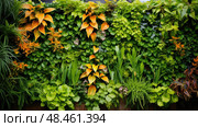 wisteria climbing plants ai generated. Стоковое AI-изображение, AI-художник Vectorwin / Фотобанк Лори