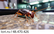 contamation pests in kitchen ai generated. Стоковое AI-изображение, AI-художник Vectorwin / Фотобанк Лори