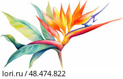 vibrant water color tropical plants ai generated. Стоковое AI-изображение, AI-художник Vectorwin / Фотобанк Лори
