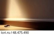 sect cockroach in house ai generated. Стоковое AI-изображение, AI-художник Vectorwin / Фотобанк Лори