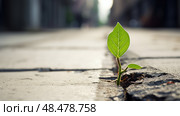 survival leaf sprout ai generated. Стоковое AI-изображение, AI-художник Vectorwin / Фотобанк Лори