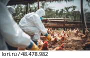 ers farming chicken farm ai generated. Стоковое AI-изображение, AI-художник Vectorwin / Фотобанк Лори