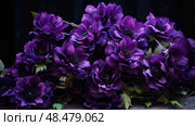 petunia dark purple flowers ai generated. Стоковое AI-изображение, AI-художник Vectorwin / Фотобанк Лори
