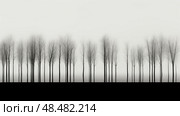 openness minimal trees ai generated. Стоковое AI-изображение, AI-художник Vectorwin / Фотобанк Лори