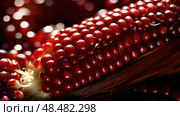 kernels red corn ai generated. Стоковое AI-изображение, AI-художник Vectorwin / Фотобанк Лори