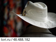 Rancher wearing white cowboy hat in blurred background. Стоковое AI-изображение, AI-художник Иван Рябоконь / Фотобанк Лори