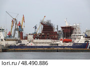 Морские суда в бухте Золотой Рог во Владивостоке (2022 год). Редакционное фото, фотограф Free Wind / Фотобанк Лори