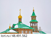 Купола церкви святого апостола Андрея Первозваного зимой во время снегопада. Село Вагай. Омутинский район. Тюменская область (2018 год). Стоковое фото, фотограф Александр Тараканов / Фотобанк Лори