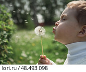 Ребёнок загадывает желание, дуя на одуванчик (2023 год). Редакционное фото, фотограф Надежда Сухомлина / Фотобанк Лори