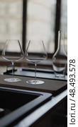 Clean wine glasses are on the table of a special wine cabinet, stylish table setting, ice, bottle of sparkling wine, light from window, decoder and degasser. Стоковое видео, видеограф Vladimir Drozdin / Фотобанк Лори